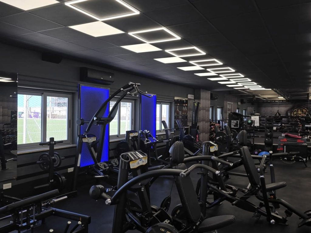 Weights Area